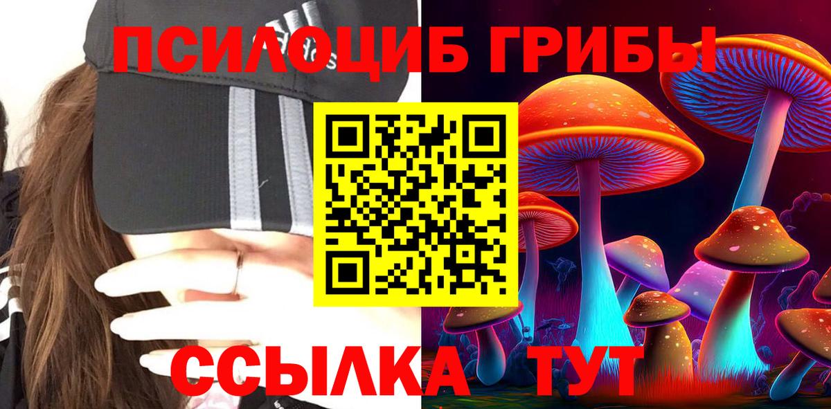 Новочебоксарск  Галлюциногенные грибы MAGIC MUSHROOMS  Вход с VPN  Псилоцибиновые грибы мухоморы 